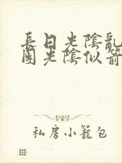 长日光阴乱作一团光阴似箭眇眇