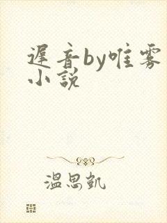 迟音by唯雾的小说封面