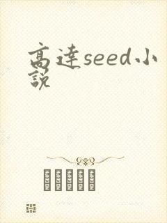 高达seed小说