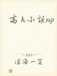 高 h小说np封面