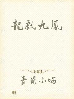 龙戏九凤封面
