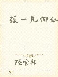 张一凡柳红封面