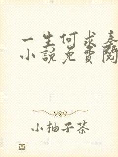 一生何求秦菲雪小说免费阅读