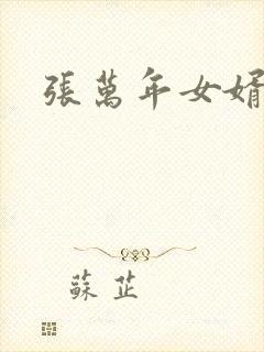 张万年女婿封面