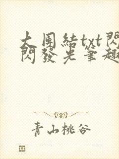 大团结txt闪闪发光笔趣阁