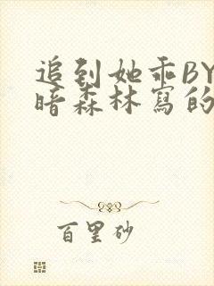 追到她乖BY黑暗森林写的小说