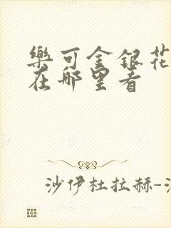 乐可金银花全文在哪里看