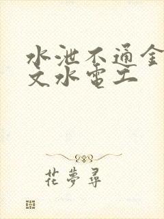 水泄不通金银原文水电工