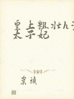 皇上粗壮h灌满太子妃封面