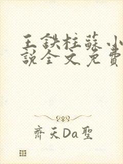 王铁柱苏小汐小说全文免费阅读最新章节