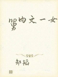 np肉文一女多男