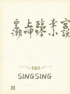 皇上临幸宫女高潮呻吟小说封面