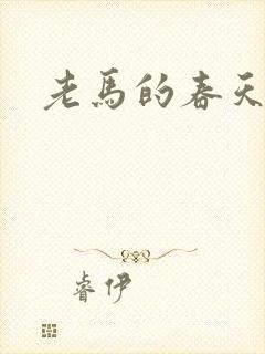 老马的春天敏静封面