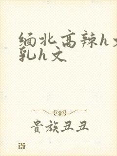 缅北高辣h文乱乳h文