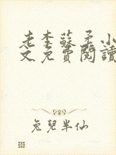 老李苏柔小说全文免费阅读