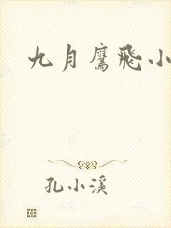九月鹰飞小说