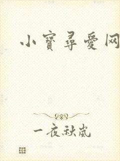 小宝寻爱网封面