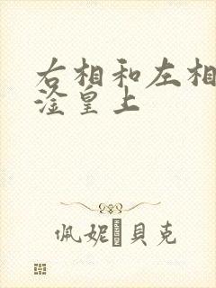 右相和左相一起淦皇上