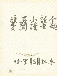 顽石小说全文免费阅读笔趣阁