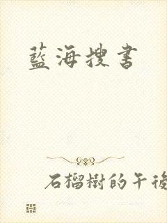 蓝海搜书封面