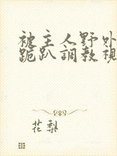 被主人野外玩弄跪趴调教视频封面