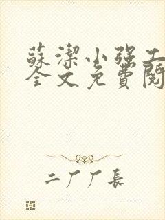 苏洁小强工地情全文免费阅读