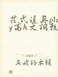 花式道具play高h文调教