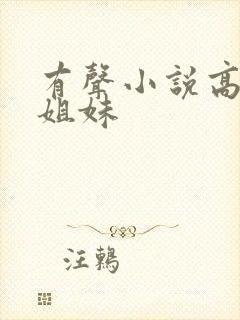 有声小说高树三姐妹