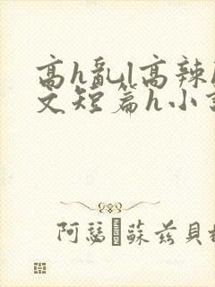 高h乱l高辣h文短篇h小说