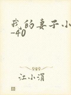我的妻子小谨1-40