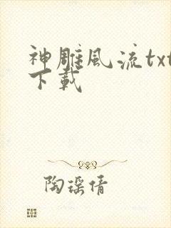神雕风流txt下载