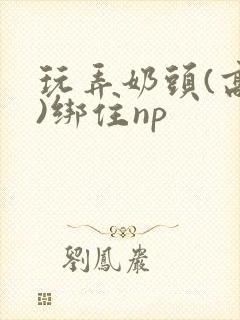 玩弄奶头(高h)绑住np