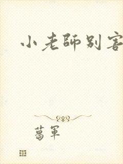 小老师别害羞封面