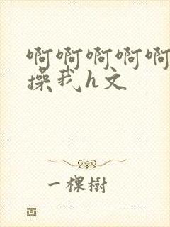 啊啊啊啊啊啊啊操我h文