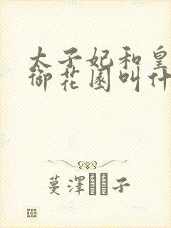 太子妃和皇帝在御花园叫什么小说