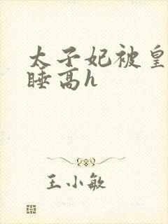 太子妃被皇上强睡高h