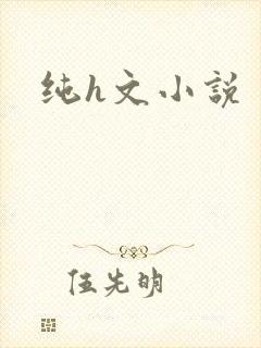 纯h文小说