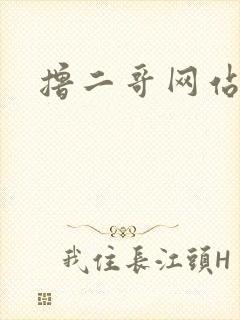 撸二哥网站封面