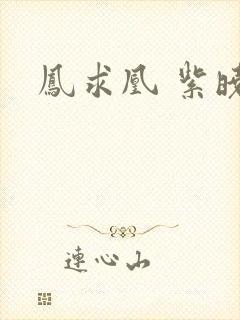 凤求凰 紫晓封面