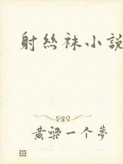 射丝袜小说