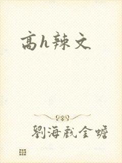 高h辣文封面