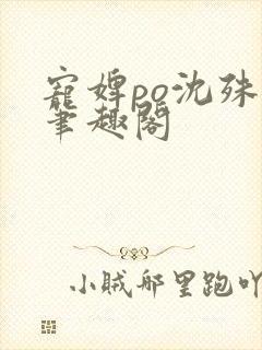 宠婢po沈殊辞笔趣阁