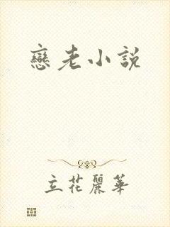 恋老小说