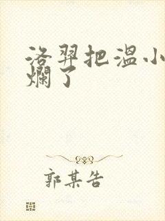 洛羿把温小辉做烂了封面