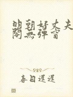 明朝好丈夫笔趣阁无弹窗