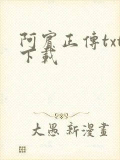 阿宾正传txt下载封面