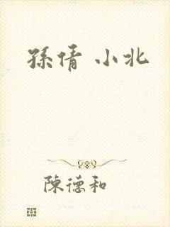 孙倩 小北封面