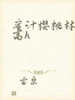 蜜汁樱桃林妙妙高h