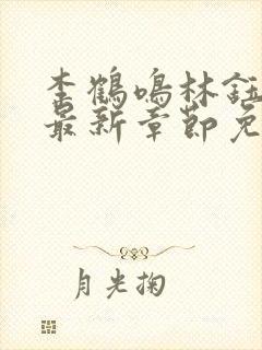 李鹤鸣林钰小说最新章节免费阅读