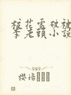 校花处破被灌满李老头小说